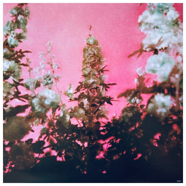 LANA DEL REY - DID YOU KNOW THAT THERE S A TUNNEL UNDER OCEAN BLVD (2LP) (COLOURED VINYL) | VINILO