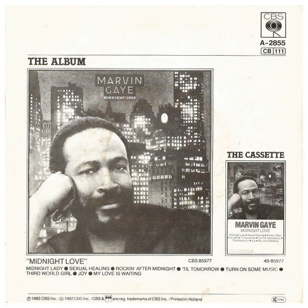 MARVIN GAYE - SEXUAL HEALING | 7" SINGLE USADO