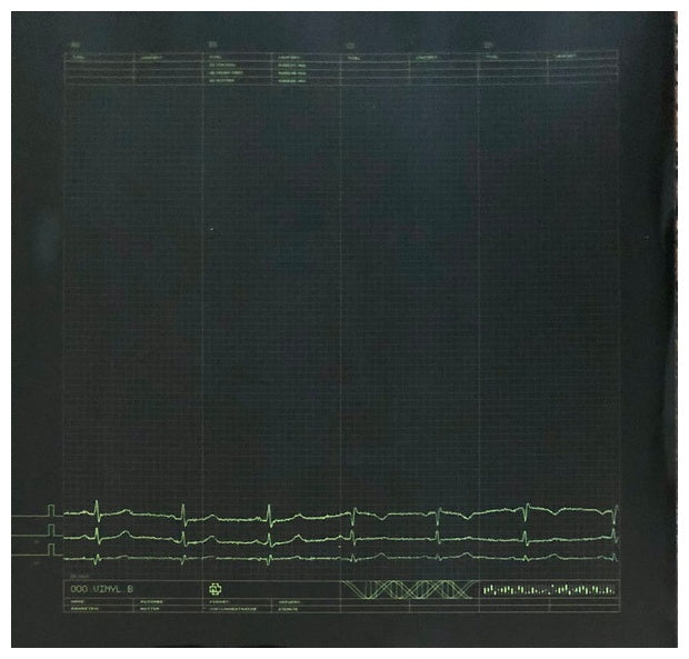 RAMMSTEIN - MUTTER (2LP) | VINILO