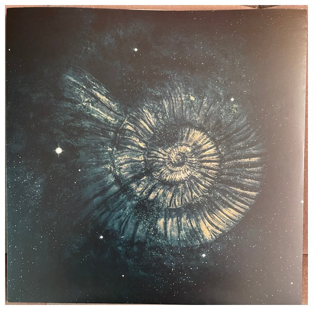 NIGHTWISH - ENDLESS FORMS MOST BEAUTIFUL (2LP) (CLEAR GOLD & BLACK VINYL) | VINILO