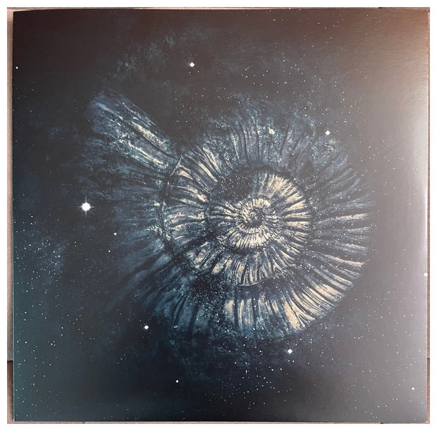 NIGHTWISH - ENDLESS FORMS MOST BEAUTIFUL (2LP) (CLEAR GOLD & BLACK VINYL) | VINILO
