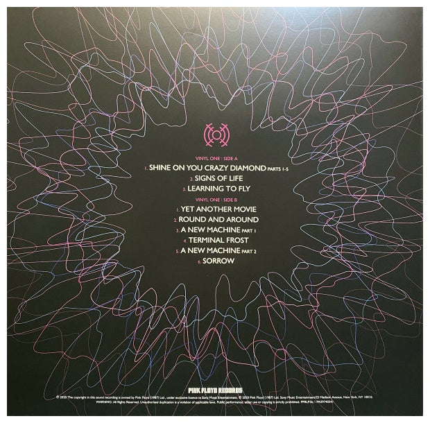 PINK FLOYD - DELICATE SOUND OF THUNDER (3LP) | VINILO