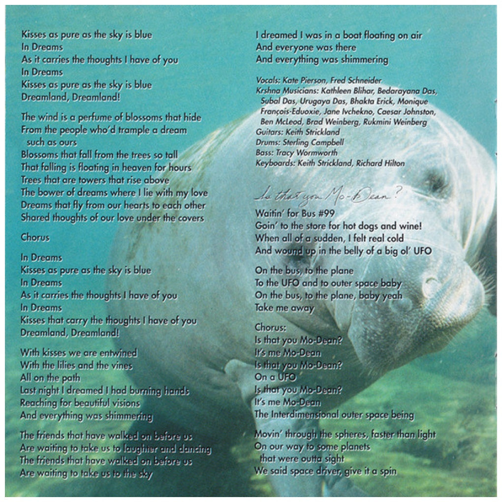 THE B-52'S - GOOD STUFF | CD USADO