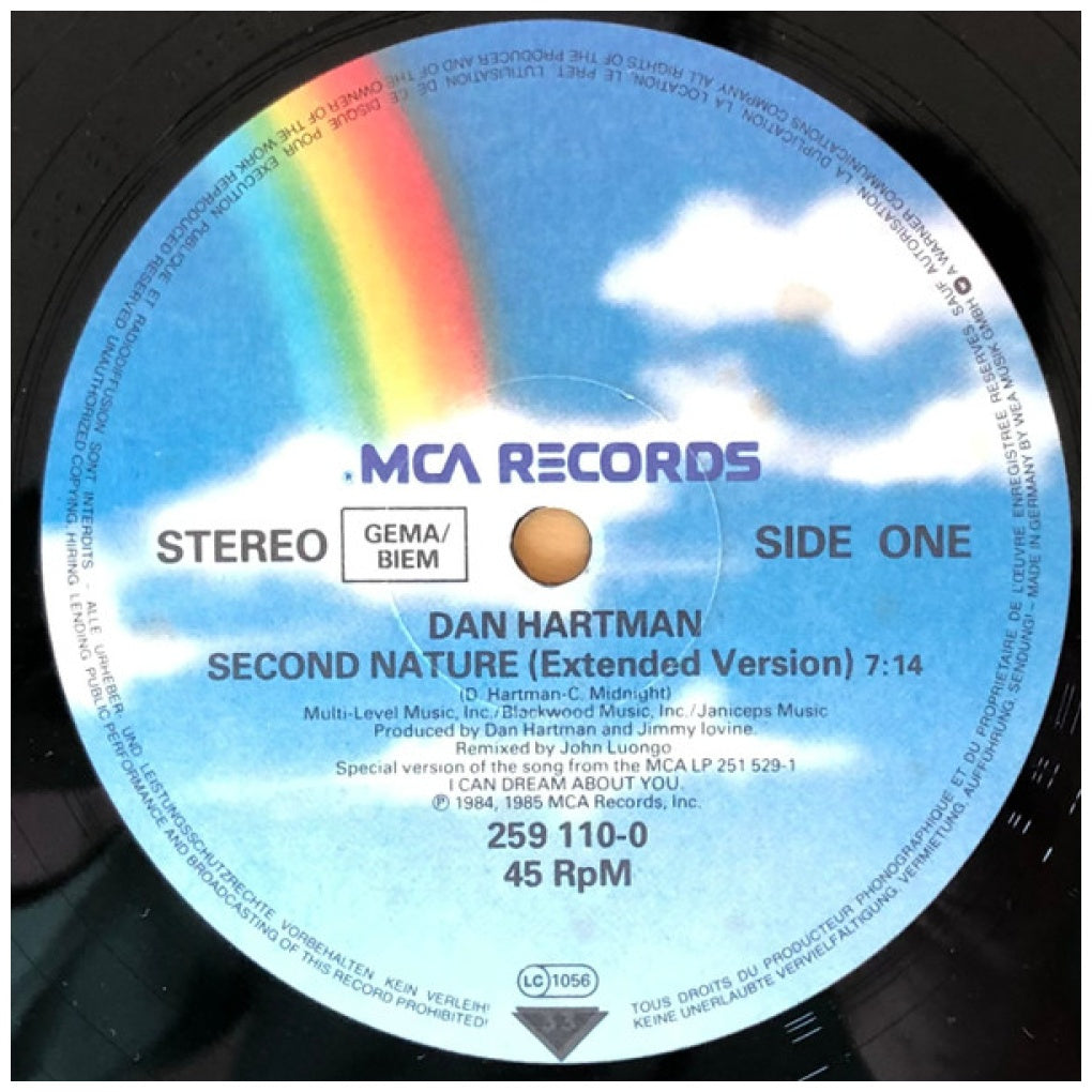 DAN HARTMAN - SECOND NATURE | 12" MAXI SINGLE VINILO USADO