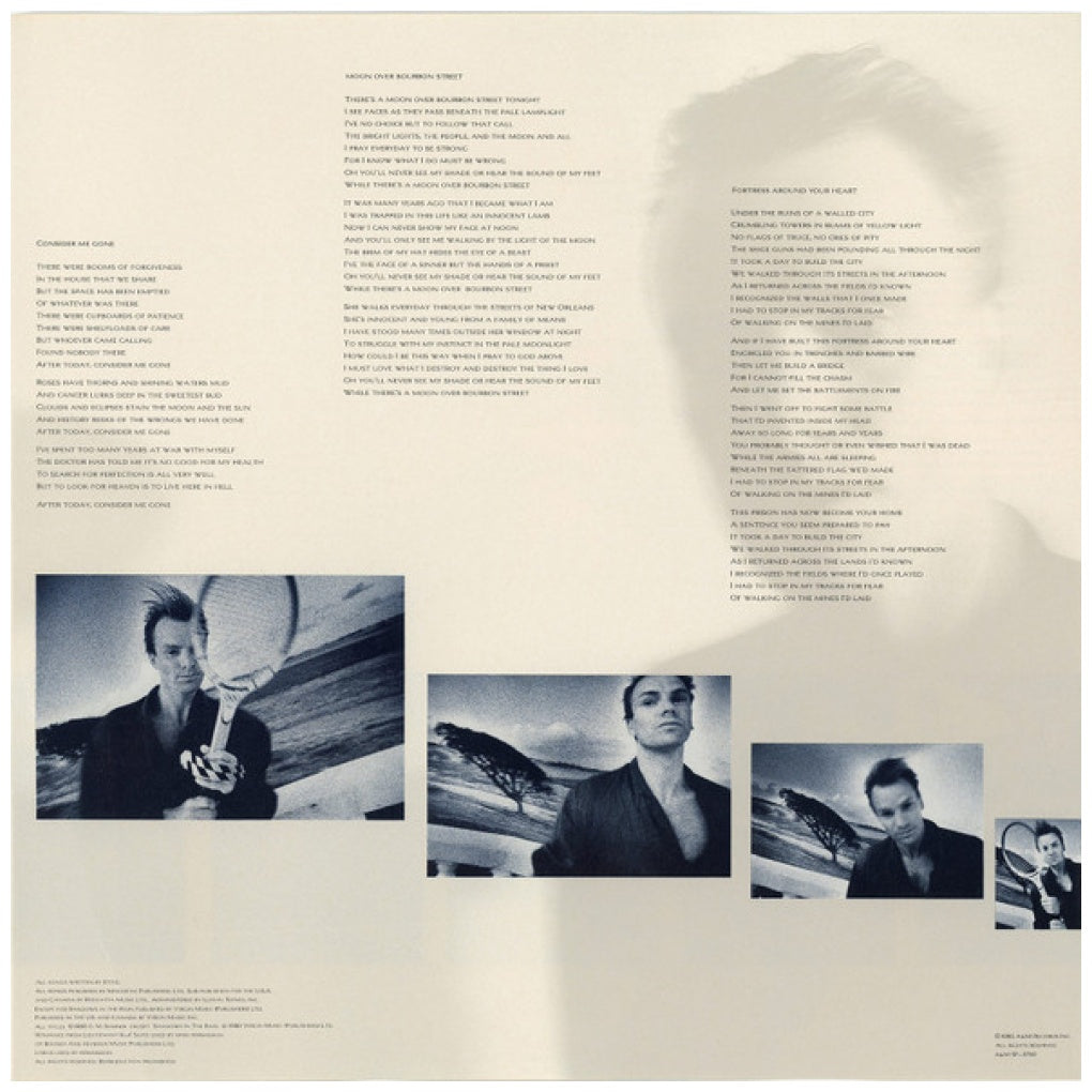 STING - THE DREAM OF THE BLUE TURTLES | VINILO USADO