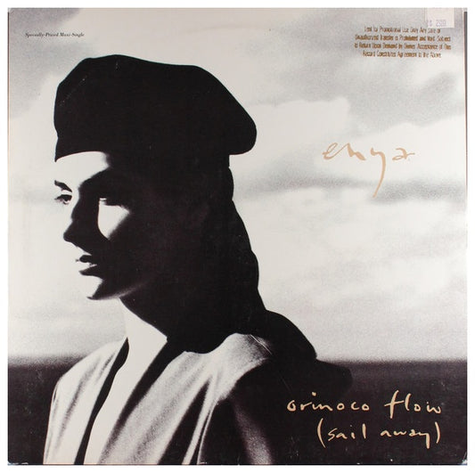 ENYA - ORINOCO FLOW | 12" MAXI SINGLE VINILO USADO