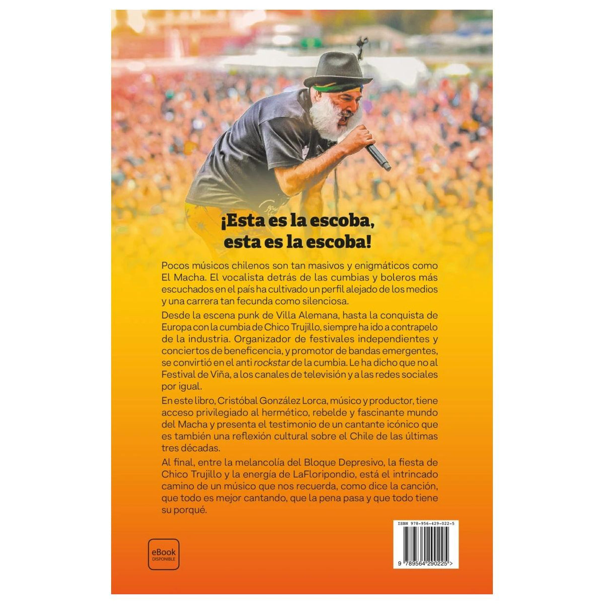 LO QUE HAY QUE SOÑAR, HAY QUE VIVIRLO (TAPA RÚSTICA) - CRISTÓBAL FERNANDO GONZÁLEZ LORCA | LIBRO