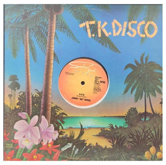 JIMMY "BO" HORNE - IS IT IN | 12" MAXI SINGLE USADO