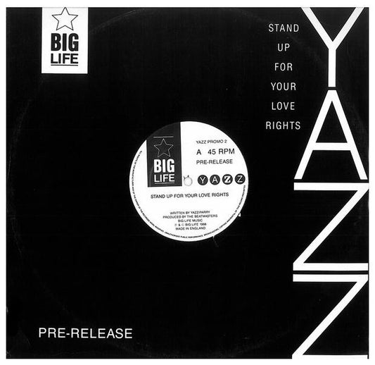 YAZZ - STAND UP FOR YOUR LOVE RIGHTS | 12" MAXI SINGLE USADO