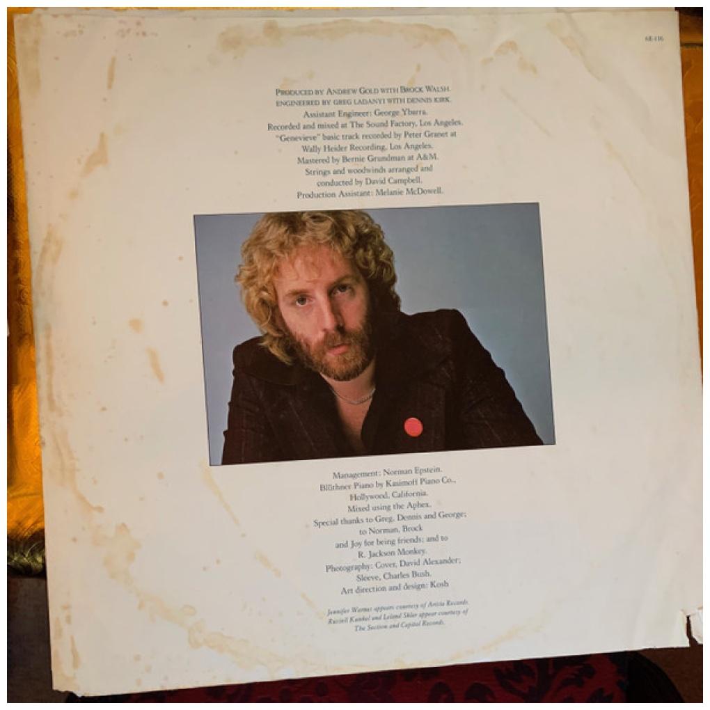 ANDREW GOLD - ALLTHIS AND HEAVEN TOO | VINILO USADO