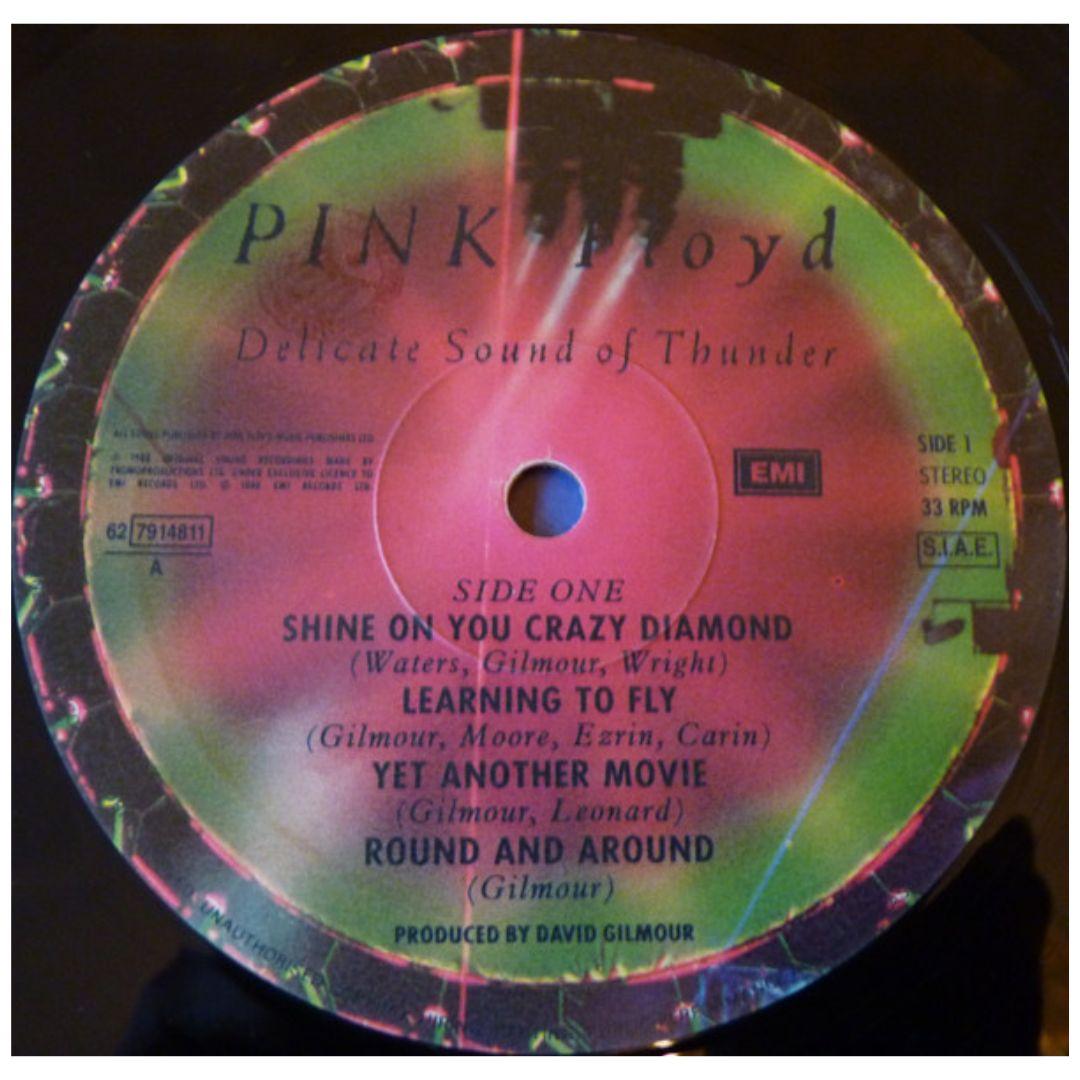 PINK FLOYD - DELICATE SOUND OF A THUNDER (2LP) | VINILO