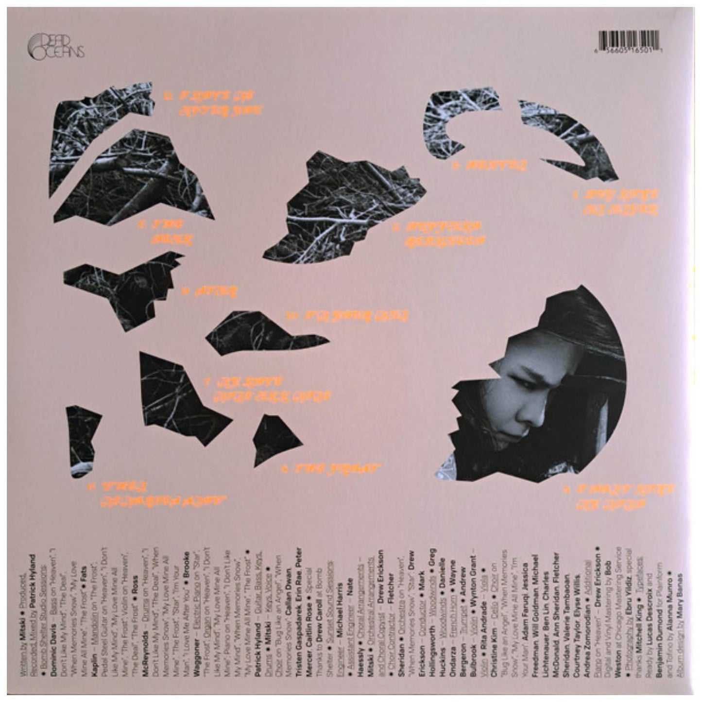 MITSKI - LAND IS INHOSPITABLE AND SO ARE WE | VINILO