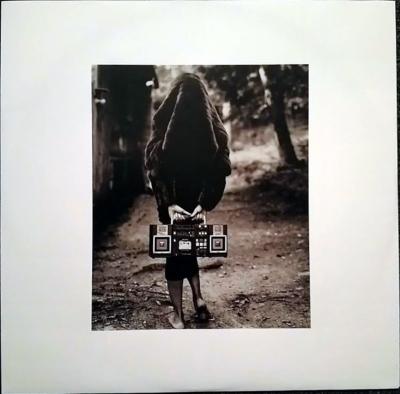 TINA TURNER - SIMPLY THE BEST (2LP) | VINILO