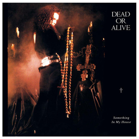 DEAD OR ALIVE - SOMETHING IN MY HOUSE | 12" MAXI SINGLE VINILO