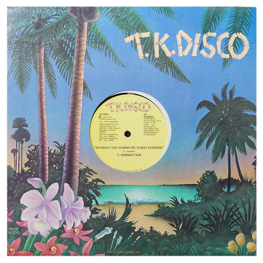 T-CONNECTION - DO WHAT YOU WANNA DO (DISCO VERSION) | 12" MAXI SINGLE USADO