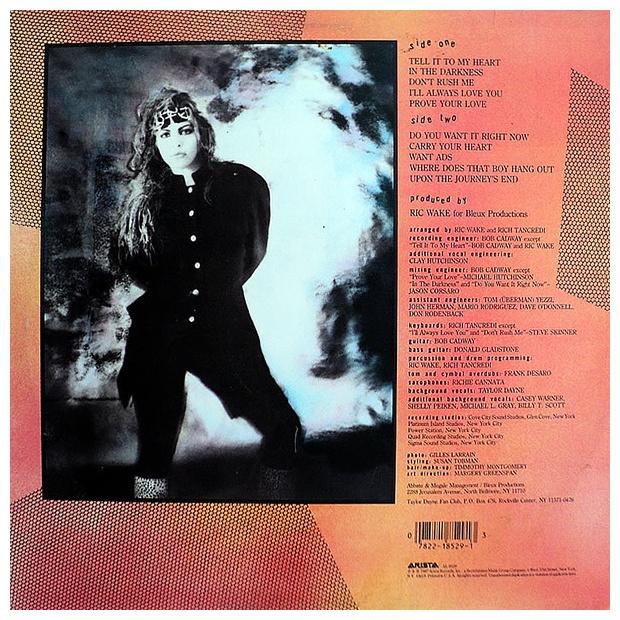 TAYLOR DAYNE - TELL IT TO MY HEART | VINILO USADO