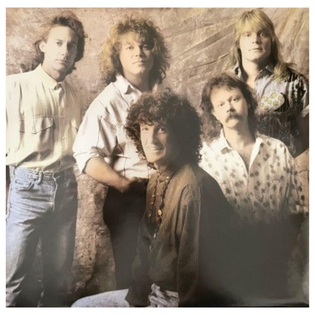 REO SPEEDWAGON - HITS | VINILO