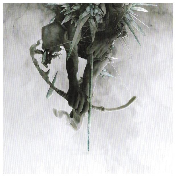 LINKIN PARK - THE HUNTING PARTY (CD+DVD) | CD
