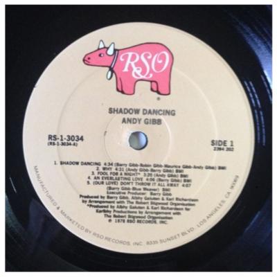 ANDY GIBB - SHADOW DANCING | VINILO