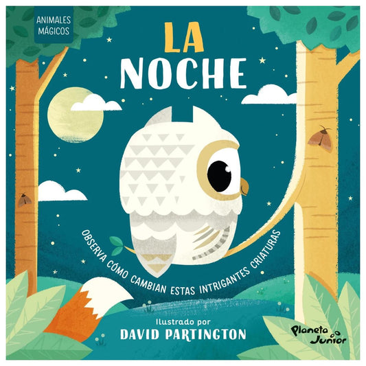 ANIMALES MÁGICOS. LA NOCHE (CARTONÉ) - VARIOS AUTORES | LIBRO