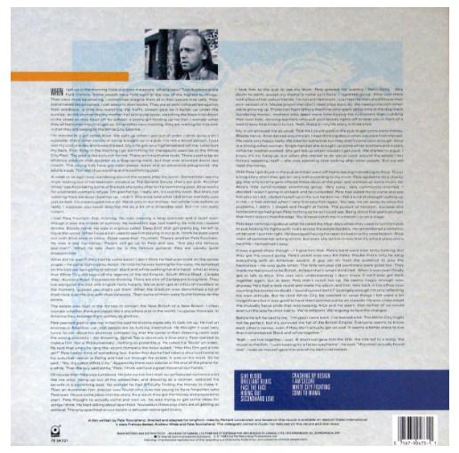 PETE TOWNSHEND - WHITE CITY | VINILO USADO