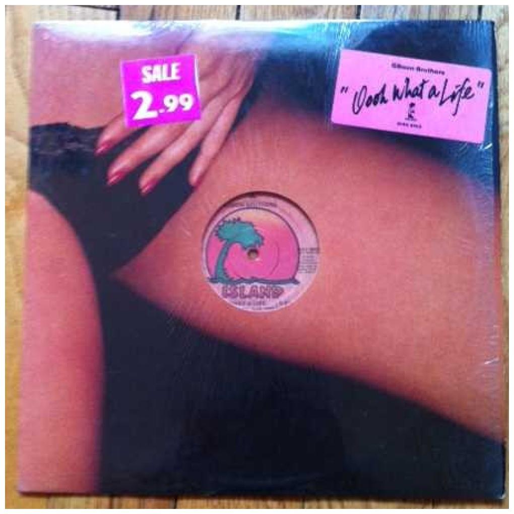 GIBSON BROTHERS - OOOK, WHAT A LIFE | 12'' MAXI SINGLE USADO
