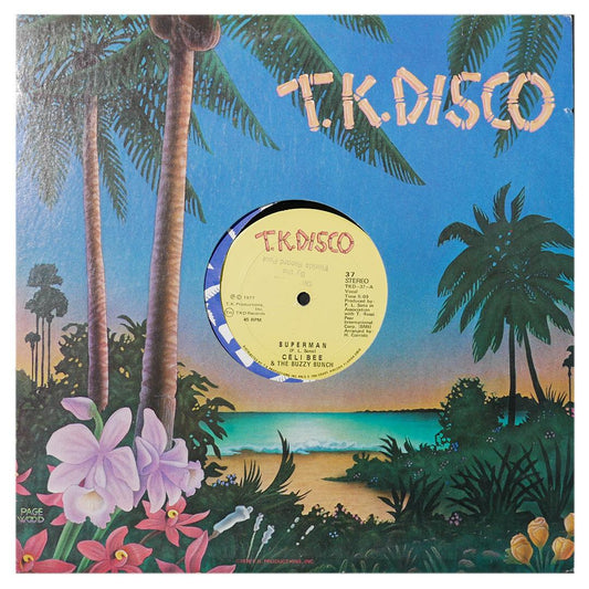 CELI BEE AND THE BUZZY BUNCH - SUPERMAN | 12" MAXI SINGLE USADO