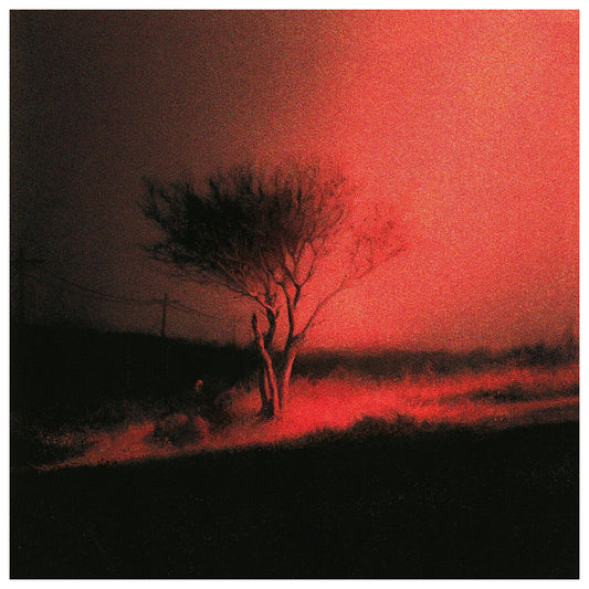 (PREVENTA)  JOJI - PISS IN THE WIND (LP) | VINILO