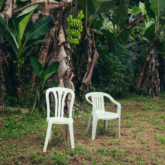 BAD BUNNY - DEBI TIRAR MAS FOTOS (2LP) (WHITE VINYL) | VINILO