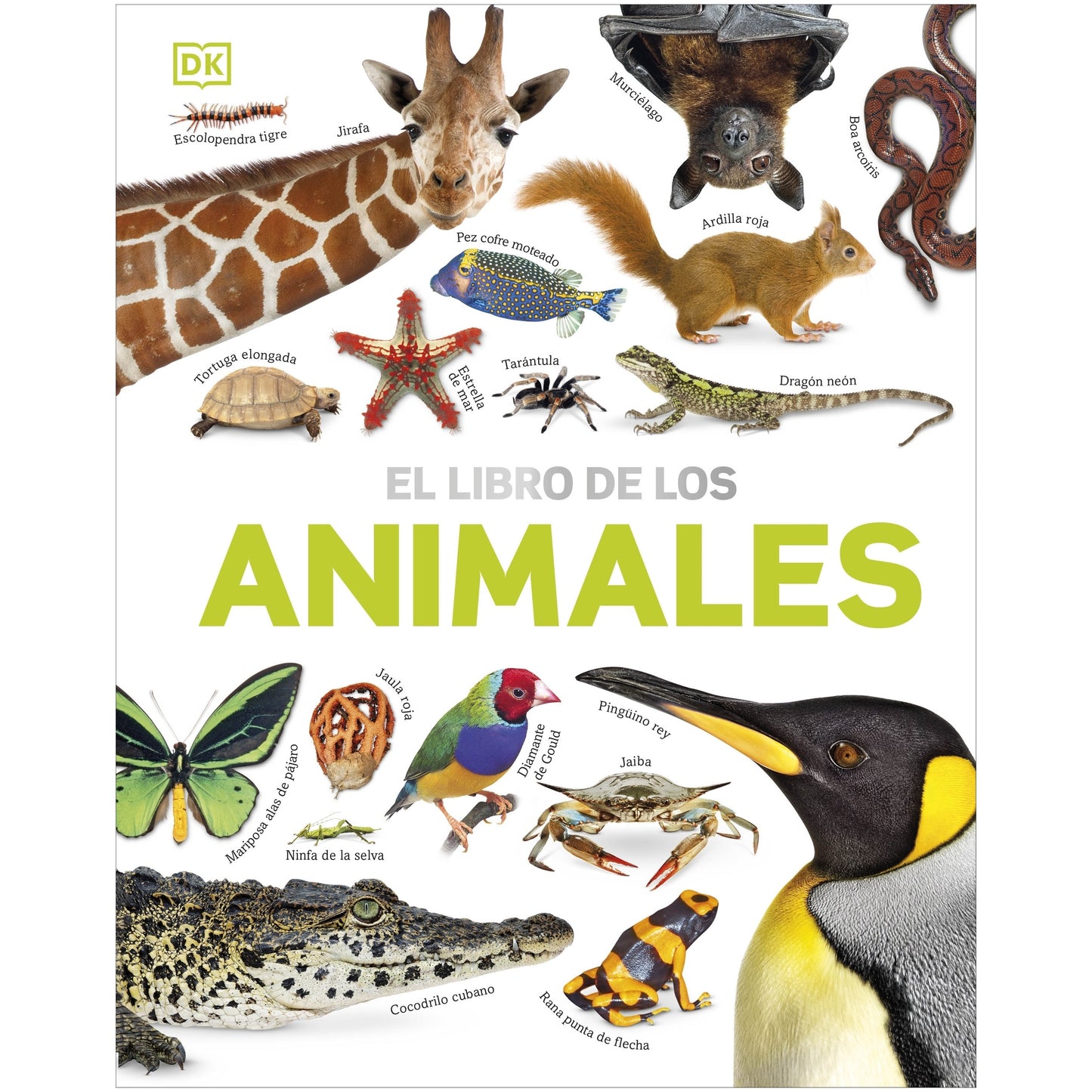 LIBRO DE LOS ANIMALES, EL (TAPA DURA) - VV. AA. | LIBRO