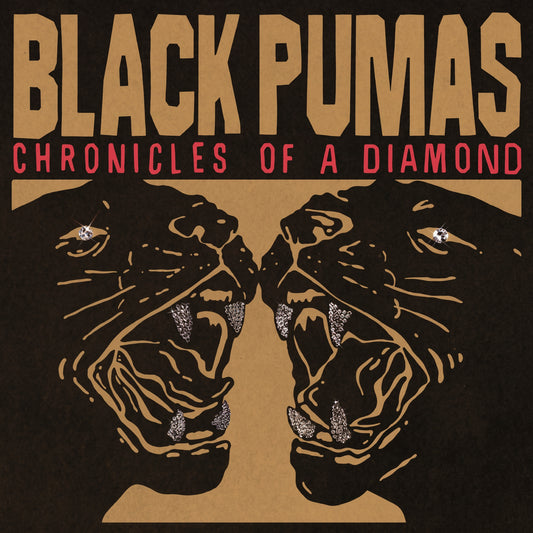 BLACK PUMAS - CHRONICLES OF A DIAMOND (CLEAR VINYL) | VINILO
