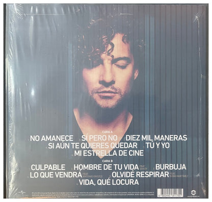 DAVID BISBAL - TU Y YO | VINILO