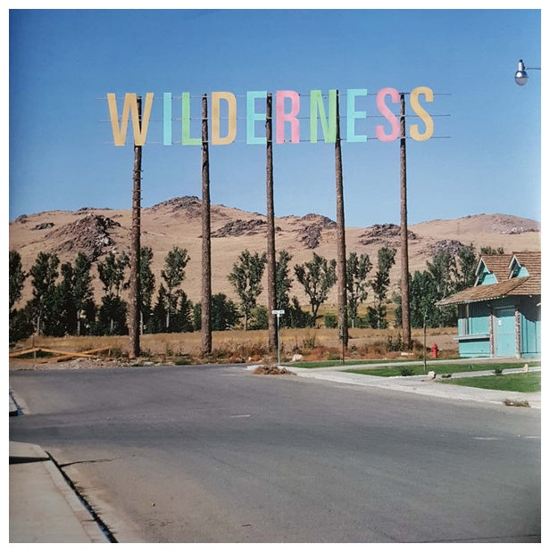 PINEAPPLE THIEF - YOUR WILDERNESS | VINILO