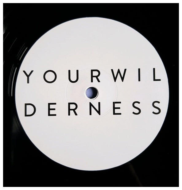 PINEAPPLE THIEF - YOUR WILDERNESS | VINILO