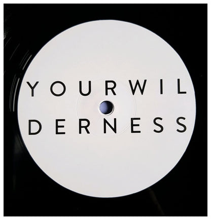 PINEAPPLE THIEF - YOUR WILDERNESS | VINILO