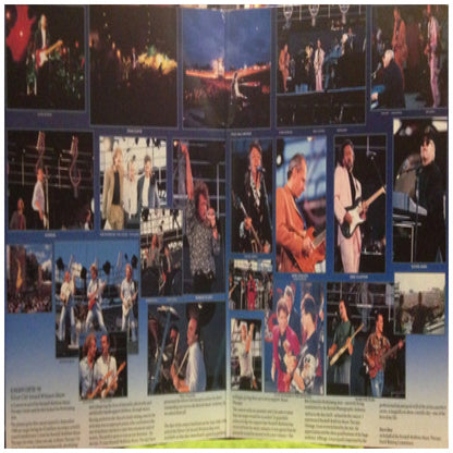KNEBWORTH - THE ALBUM (2LP) | VINILO USADO