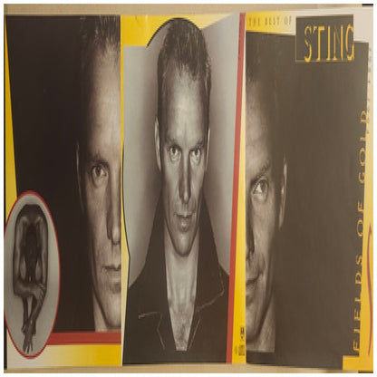 STING - FIELDS OF GOLD: THE BEST | CD USADO