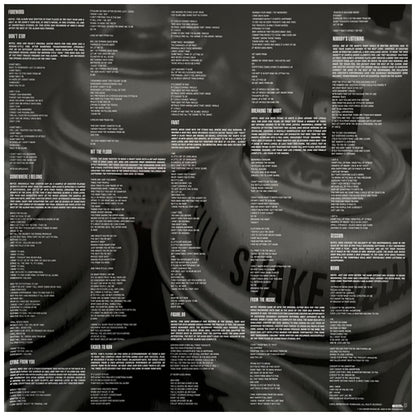 LINKIN PARK - METEORA | VINILO