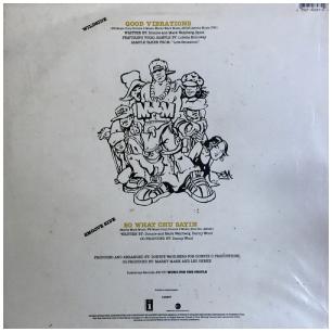 MARKY MARK AND THE FUNKY BUNCH - GOOD VIBRATIONS | 12'' MAXI SINGLE USADO