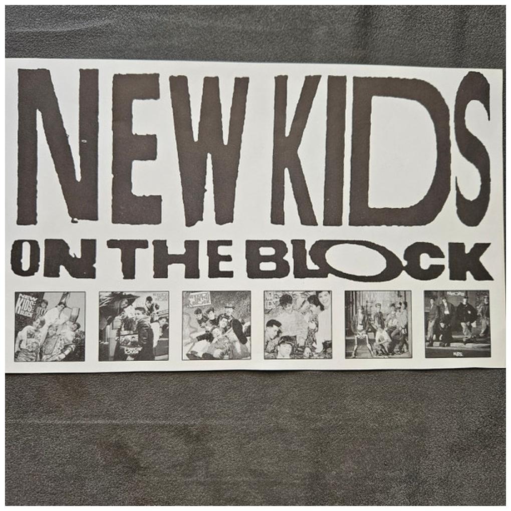 NEW KIDS ON THE BLOCK - HITS | VINILO USADO