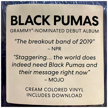 BLACK PUMAS - BLACK PUMAS | VINILO