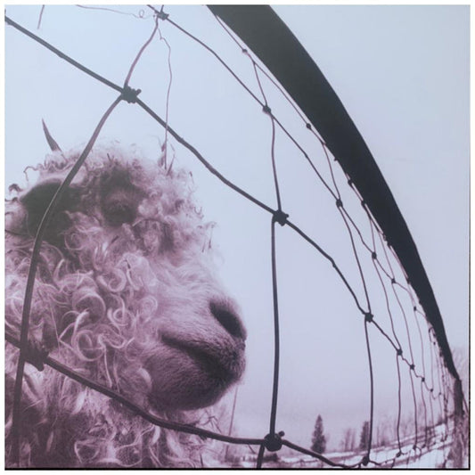 PEARL JAM - VS. (30TH ANNIVERSARY)