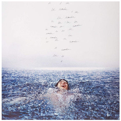 SHAWN MENDES - WONDER  | VINILO