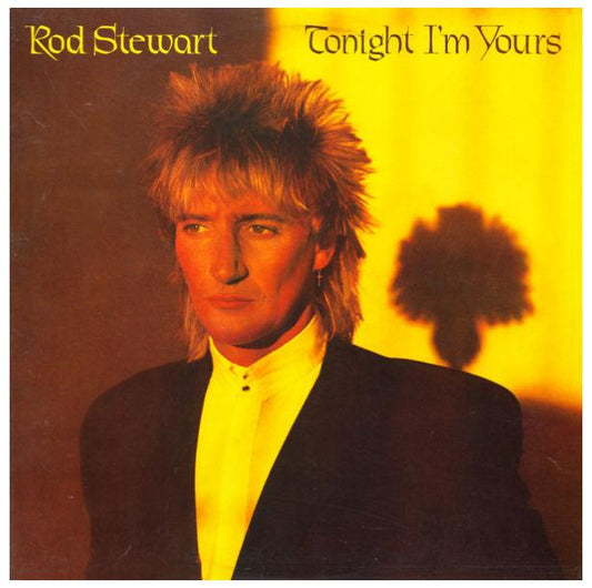 ROD STEWARD - TONIGHT I M YOURS | VINILO USADO