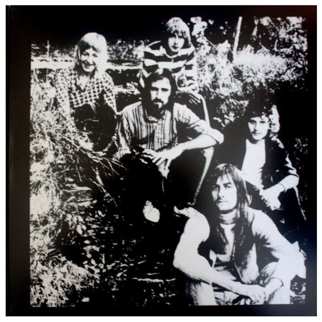 FLEETWOOD MC - FM GREATEST HITS | VINILO