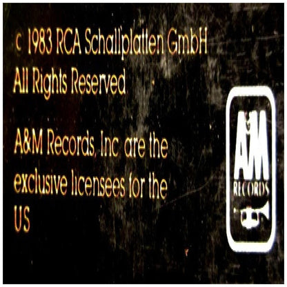 IAN CUSSICK - DANGER IN THE AIR (PROMO COPY) | VINILO USADO