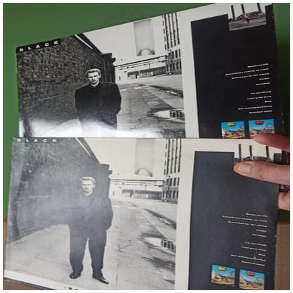 BLACK - WONDERFUL LIFE | VINILO USADO