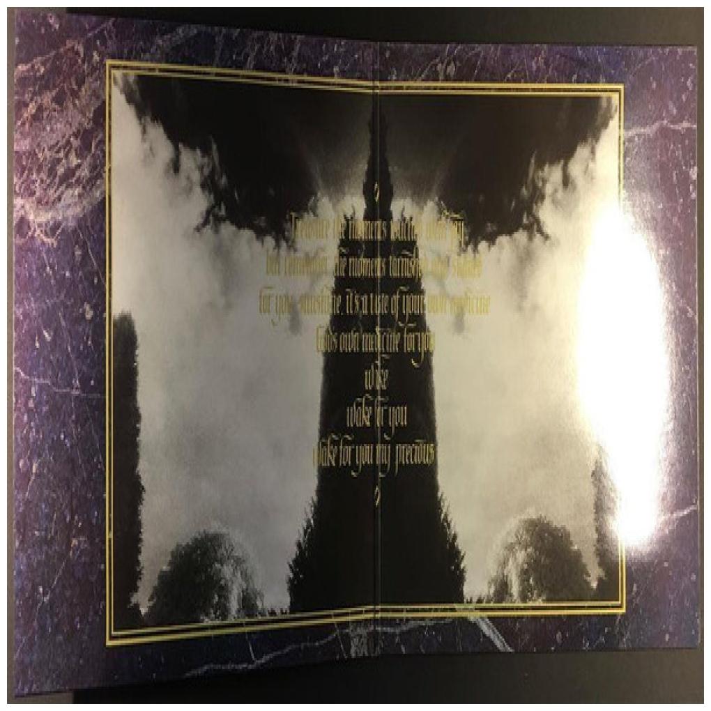 THE MISSION - GODS OWN MEDICINE | VINILO USADO