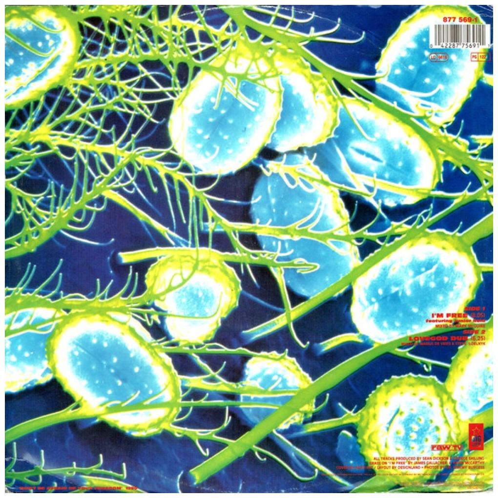 THE SOUP DRAGONS - I'M FREE | 12'' MAXI SINGLE USADO