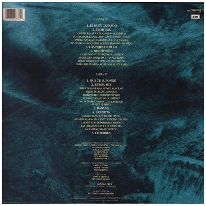 GARIBALDI - GRANDES EXITOS | VINILO USADO